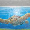 Chatkowskis Sea Turtle